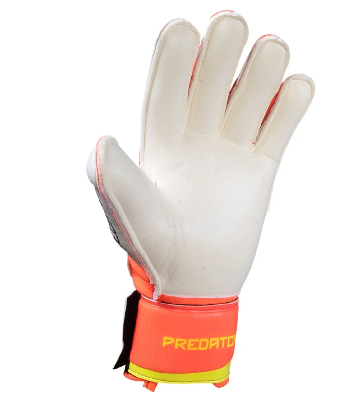 AD-  Predator Match Goalkeeper Glove