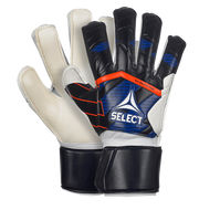 SELECT 04 Protection v24 FLAT CUT
